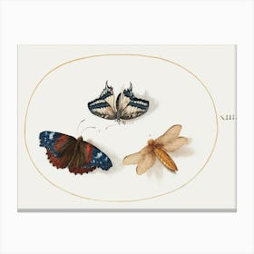 Yellow Swallowtail And Red Admiral Butterflies With A Dragonfly, Joris Hoefnagel Canvas Print