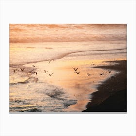Seagulls At Sunset At The Beach Canvas Print
