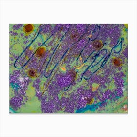 Purple And Green Canvas Print