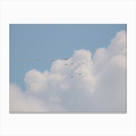 Birds Flying High In Florida Canvas Print