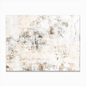Moldy Wall Old texure Canvas Print