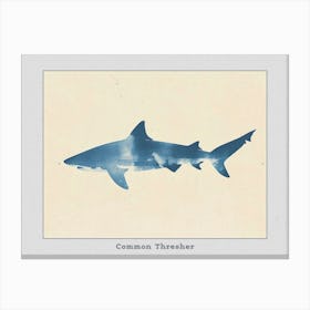 Common Thresher Shark Silhouette 7 Poster Canvas Print