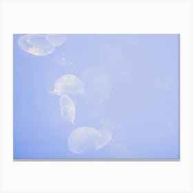 Jellyfish Swimming Underwater In La Rochelle Canvas Print