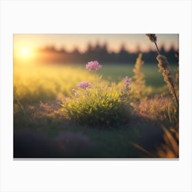 Meadow Glowing In The Evening Sun Canvas Print