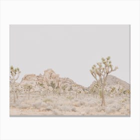 Desert Mountain View Canvas Print