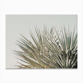 Minimalist Palm Leaves Canvas Print