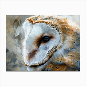 Barn Owl 21 Canvas Print