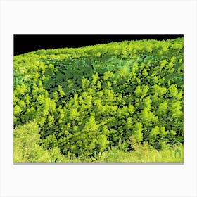 Forest Of Trees 202308311659107rt1pub Canvas Print