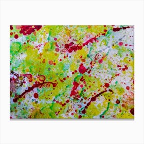 Splatter Painting 1 Canvas Print