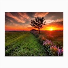 Sunset In The Field 7 Canvas Print