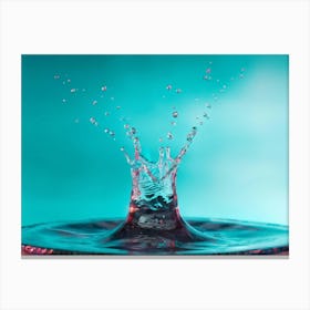 Water Splash - Water Splash Stock Videos & Royalty-Free Footage Canvas Print