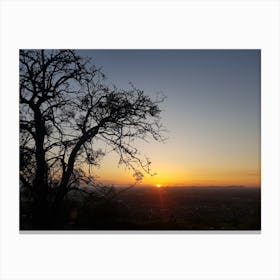 Silhouette of tree at sunset Canvas Print