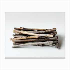 Twigs 5 Canvas Print