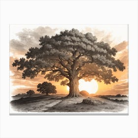 Oak Tree At Sunset Canvas Print