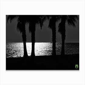 Night At The Beach 20171118 2293rt1ppub Canvas Print