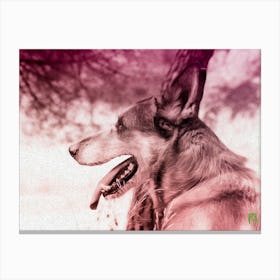 Dog Looking 2020060633rt1pub Canvas Print