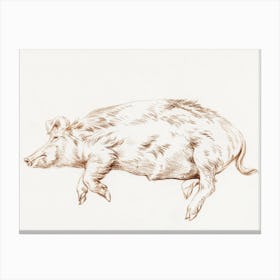 Lying Pig (1812), 1, Jean Bernard Canvas Print