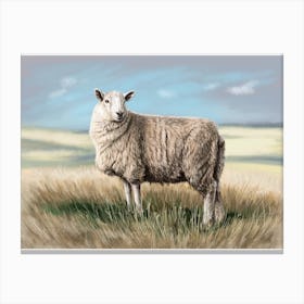 A sheep Canvas Print