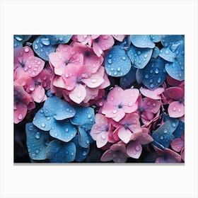 Hydrangeas 30 Canvas Print