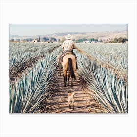 Tequila Farm Scenery Canvas Print