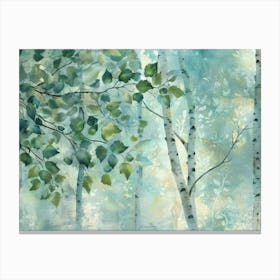 Birch Trees 36 Canvas Print