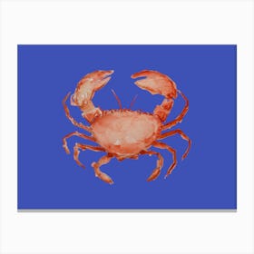 Blue Crab Canvas Print