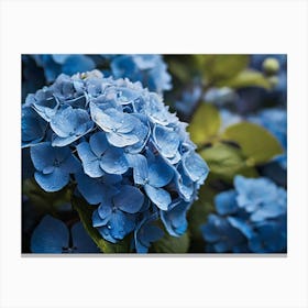 Blue Hydrangeas paintings art print Canvas Print