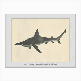 Scalloped Hammerhead Shark Grey Silhouette 2 Poster Canvas Print