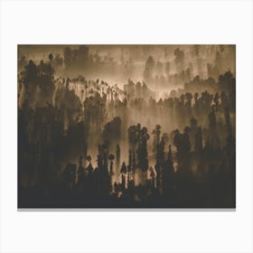 Foggy Forest Canvas Print