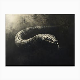 Snake In The Dark Canvas Print