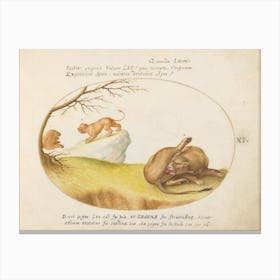 Quadervpedia Animals And Reptiles, Joris Hoefnagel (3) 1 Canvas Print