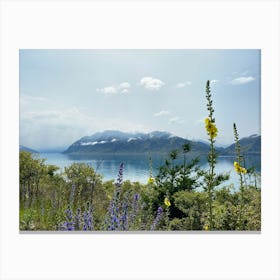 Wildflowers By Lake Hawea, New Zealand | Landscape Photography Art Print Canvas Print