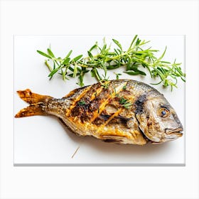 Grilled Fish With Thyme Canvas Print