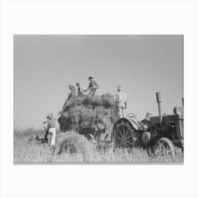 Untitled Photo, Possibly Related To Harvesting Rice, Crowley, Louisiana By Russell Lee Canvas Print