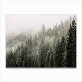 Misty Forest Scenery Canvas Print