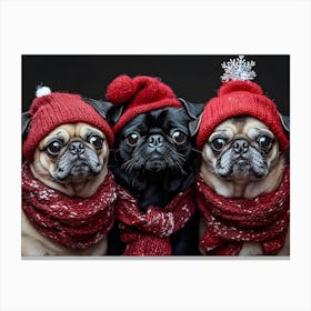 Christmas Pugs 1 Canvas Print