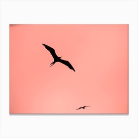 Two Birds Canvas Print