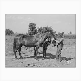 Son Of Tenant Farmer With Team Of Mules Near Muskogee, Oklahoma, Refer To General Caption Number 20 By Russell Canvas Print