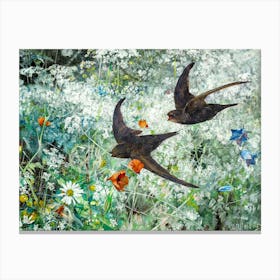 Swifts 1886 Antique Art (Common Swift) Birds and Wildflowers by Swedish Painter Bruno Liljefors | HD Remastered Immaculate Canvas Print