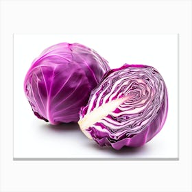 Red Cabbage (16) Canvas Print