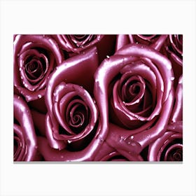 Purple Roses 3 Canvas Print