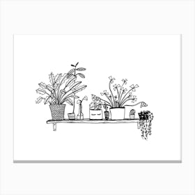 Plant Shelfie Canvas Print