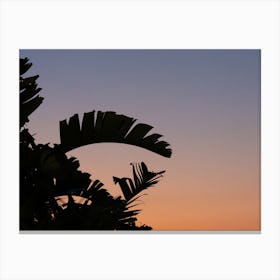 Palm tree at sunset | Purple and orange | Mediterranean summers Canvas Print