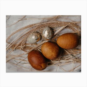 Eggs In A Nest 2 Canvas Print