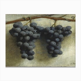 Grapes On A Branch Canvas Print