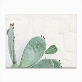 Puglia, Italy I Cactus Angel wings wild boho green in front of white wall with Italian architecture with minimalist geometric travel photography in retro vintage summer pastel dolce vita aesthetic Canvas Print