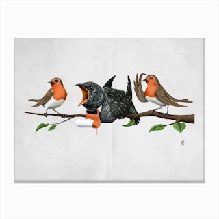 Cock Robin (Wordless) Canvas Print