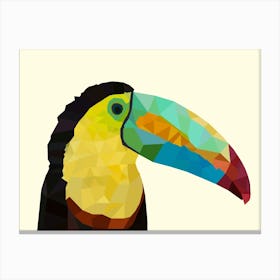 Toucan Canvas Print