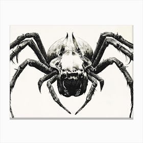 Arachnid Spider Canvas Print