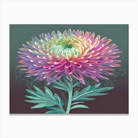 Chrysanthemum 9 Canvas Print